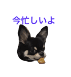 りきゅさんとひみ 3（個別スタンプ：9）