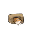 Felipe（個別スタンプ：1）