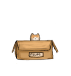 Felipe（個別スタンプ：6）