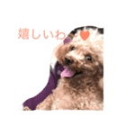 気まぐれジルさん（個別スタンプ：7）