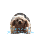 気まぐれジルさん（個別スタンプ：8）