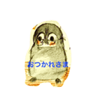鳥さんこれくしょん（個別スタンプ：5）