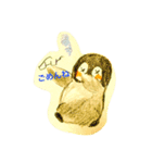 鳥さんこれくしょん（個別スタンプ：6）