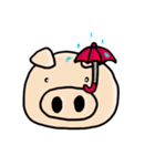 mr p（個別スタンプ：34）