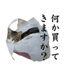 ビジネスシーンに便利なランちゃん一家（個別スタンプ：2）