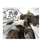 ビジネスシーンに便利なランちゃん一家（個別スタンプ：12）