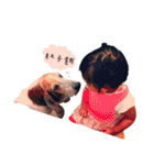 I'm PuPu（個別スタンプ：11）