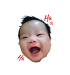 I'm PuPu（個別スタンプ：12）