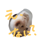 ちゃうちゃうかい！（個別スタンプ：1）