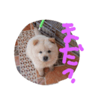 ちゃうちゃうかい！（個別スタンプ：6）
