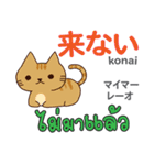 ネガティブな猫日本語タイ語（個別スタンプ：22）