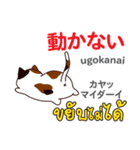ネガティブな猫日本語タイ語（個別スタンプ：39）
