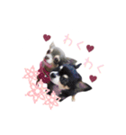 ちょこあみるく（個別スタンプ：7）