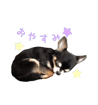 ちょこあみるく（個別スタンプ：13）