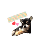 ちょこあみるく（個別スタンプ：14）