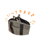 ちょこあみるく（個別スタンプ：19）
