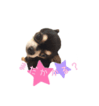 ちょこあみるく（個別スタンプ：23）