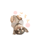 ちょこあみるく（個別スタンプ：25）