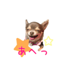 ちょこあみるく（個別スタンプ：28）