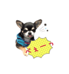 ちょこあみるく（個別スタンプ：34）