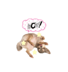 ちょこあみるく（個別スタンプ：38）