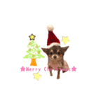 ちょこあみるく（個別スタンプ：40）