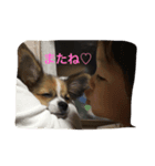 belle chan（個別スタンプ：14）