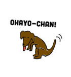キャプテン犬（個別スタンプ：5）