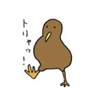マイニチ、キウイ（個別スタンプ：24）