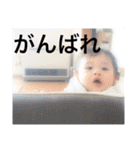 たいよう2（個別スタンプ：19）