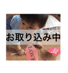 たいよう2（個別スタンプ：23）