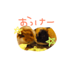 YUTO＆KOMUGI（個別スタンプ：1）