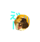 YUTO＆KOMUGI（個別スタンプ：2）