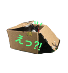 はちみつボーイのスタンプ第3弾（個別スタンプ：4）