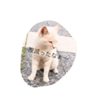 生き物です！（個別スタンプ：2）