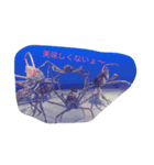 生き物です！（個別スタンプ：6）