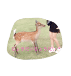 生き物です！（個別スタンプ：8）