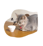 ほのぼの  りん（個別スタンプ：2）