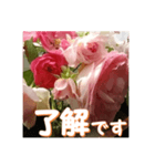 薔薇の花♡アソート_挨拶メッセージ（個別スタンプ：1）