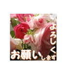 薔薇の花♡アソート_挨拶メッセージ（個別スタンプ：2）