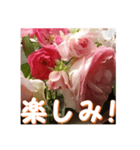 薔薇の花♡アソート_挨拶メッセージ（個別スタンプ：7）