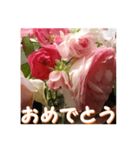 薔薇の花♡アソート_挨拶メッセージ（個別スタンプ：8）