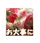 薔薇の花♡アソート_挨拶メッセージ（個別スタンプ：10）
