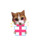 メインクーン(猫)（個別スタンプ：5）