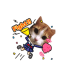 メインクーン(猫)（個別スタンプ：7）