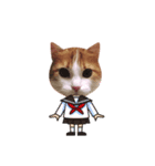 メインクーン(猫)（個別スタンプ：11）