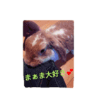 だぁいすき、めーぷる.（個別スタンプ：2）