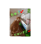 だぁいすき、めーぷる.（個別スタンプ：5）