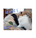 だぁいすき、めーぷる.（個別スタンプ：8）