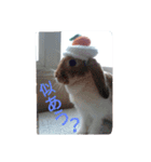 だぁいすき、めーぷる.（個別スタンプ：9）